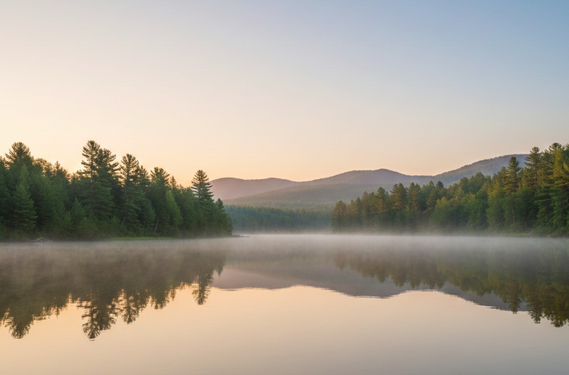 MIND UP / マインドアップ